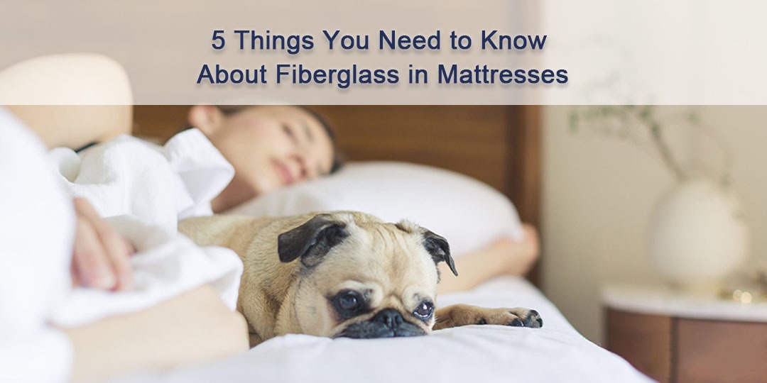 5 Things You Need to Know About Fiberglass in Mattresses Bed Story